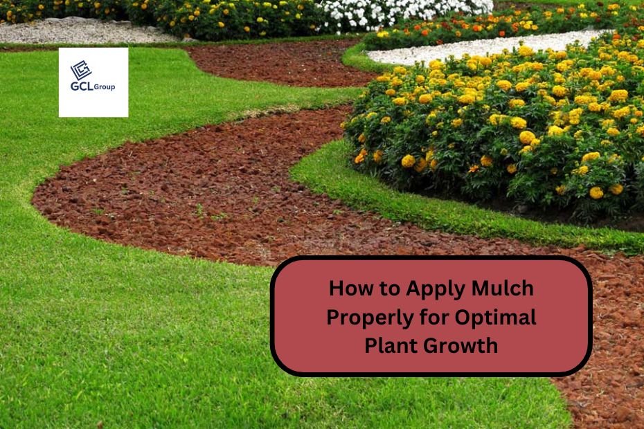 How to Apply Mulch Properly for Optimal Plant Growth